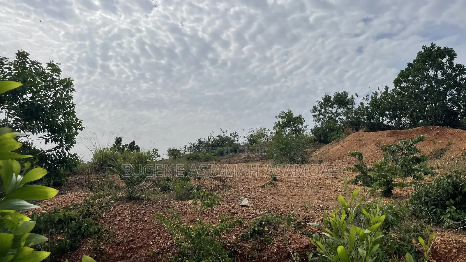 Residential Plots at Nhyieso