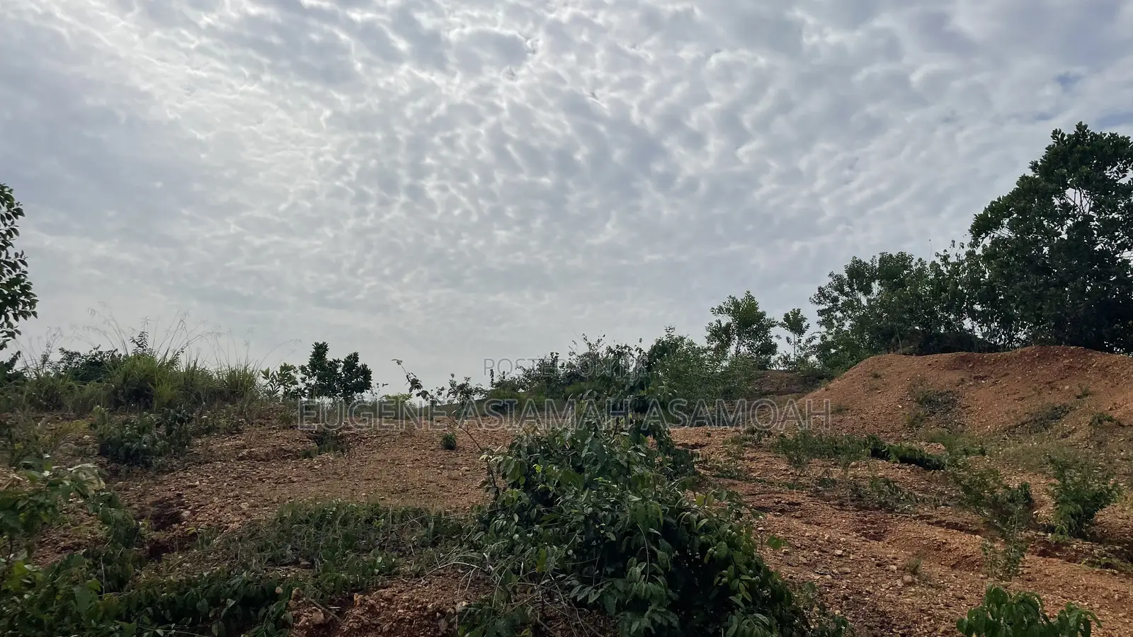 Residential Plots at Nhyieso