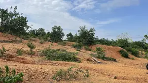 Residential Plots at Nhyieso