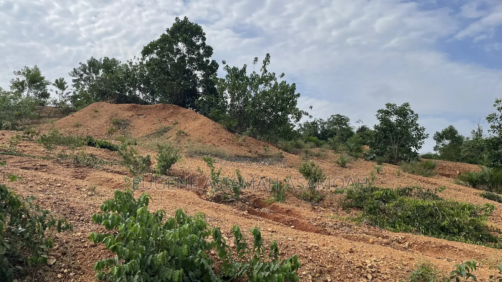 Residential Plots at Nhyieso
