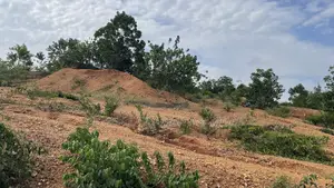 Residential Plots at Nhyieso