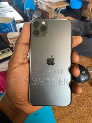 Apple iPhone 11 Pro Max 256 GB Gray