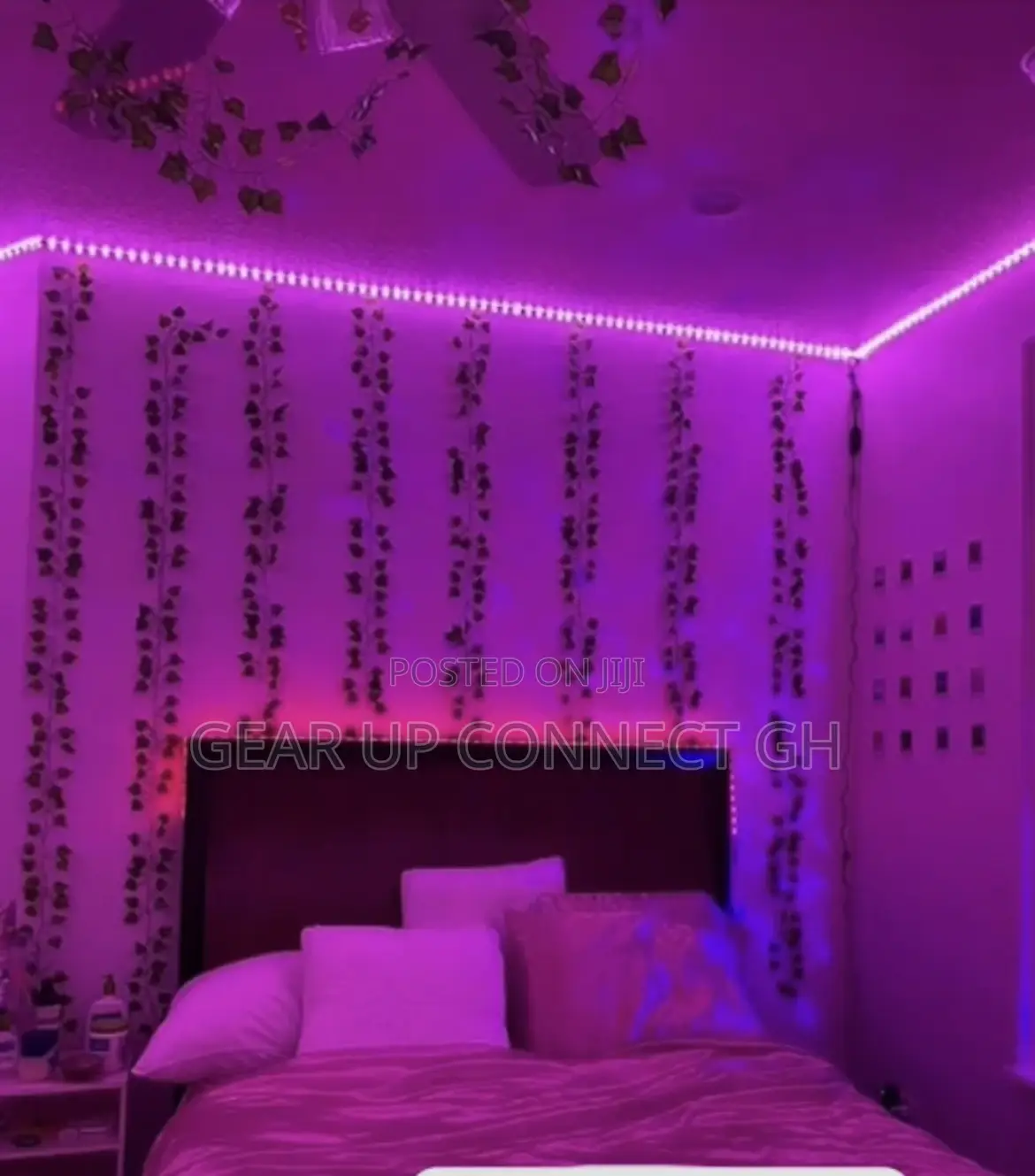 Led Strip Light With Remote Control (10/5mm)
