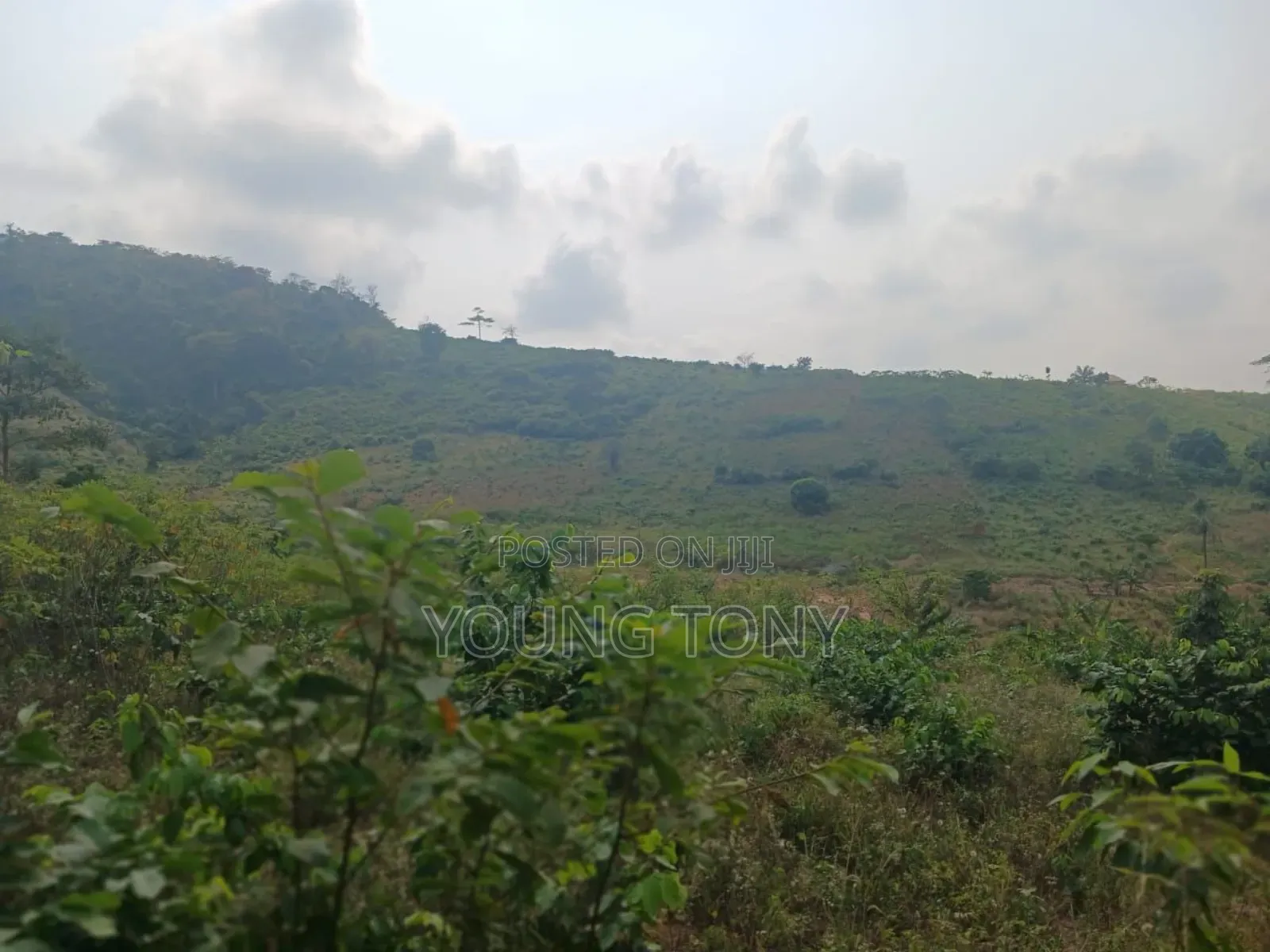 4plots of Land for Sale at Koleman Ga West Municipal