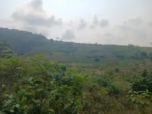 4plots of Land for Sale at Koleman Ga West Municipal