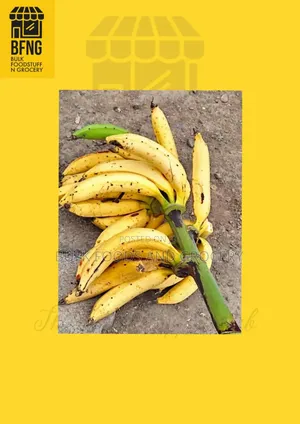 Naturally Ripped Plantain