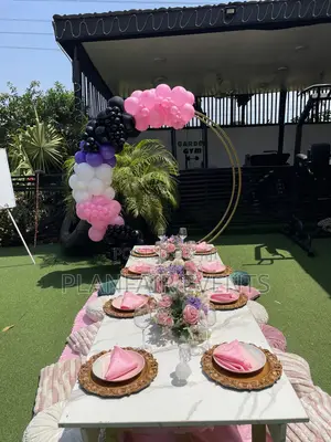 Affordable Picnic Setup
