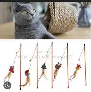 Feature Teaser Play Toy For Cat