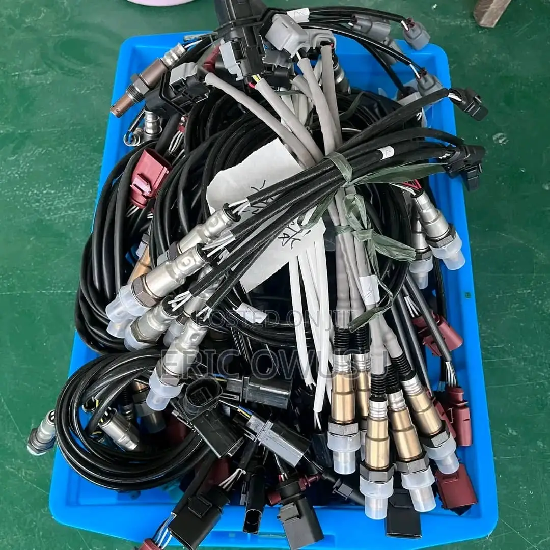 Oxygen Sensor