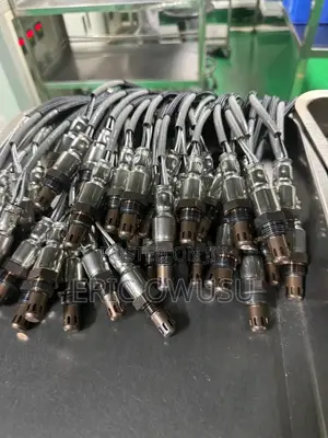 Oxygen Sensor