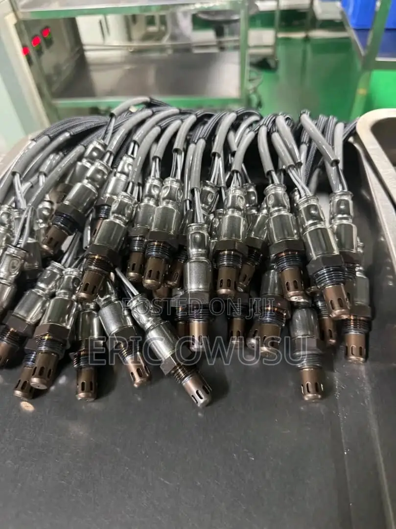 Oxygen Sensor