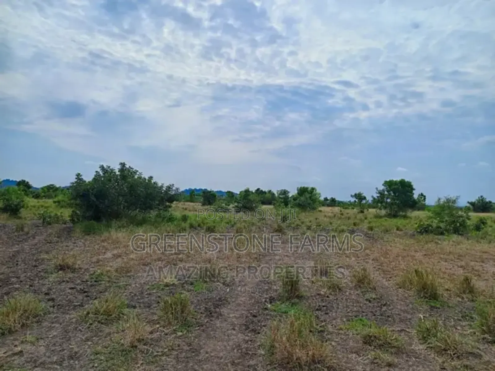 Plots of Land