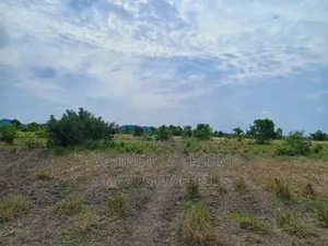 Plots of Land