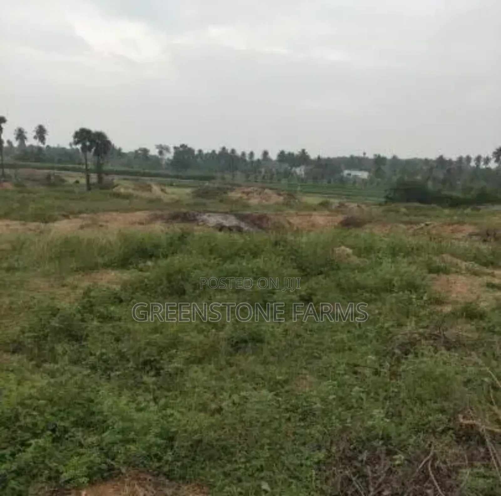 Plots of Land