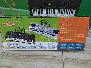 Electronic Organ