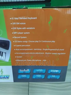 Electronic Organ