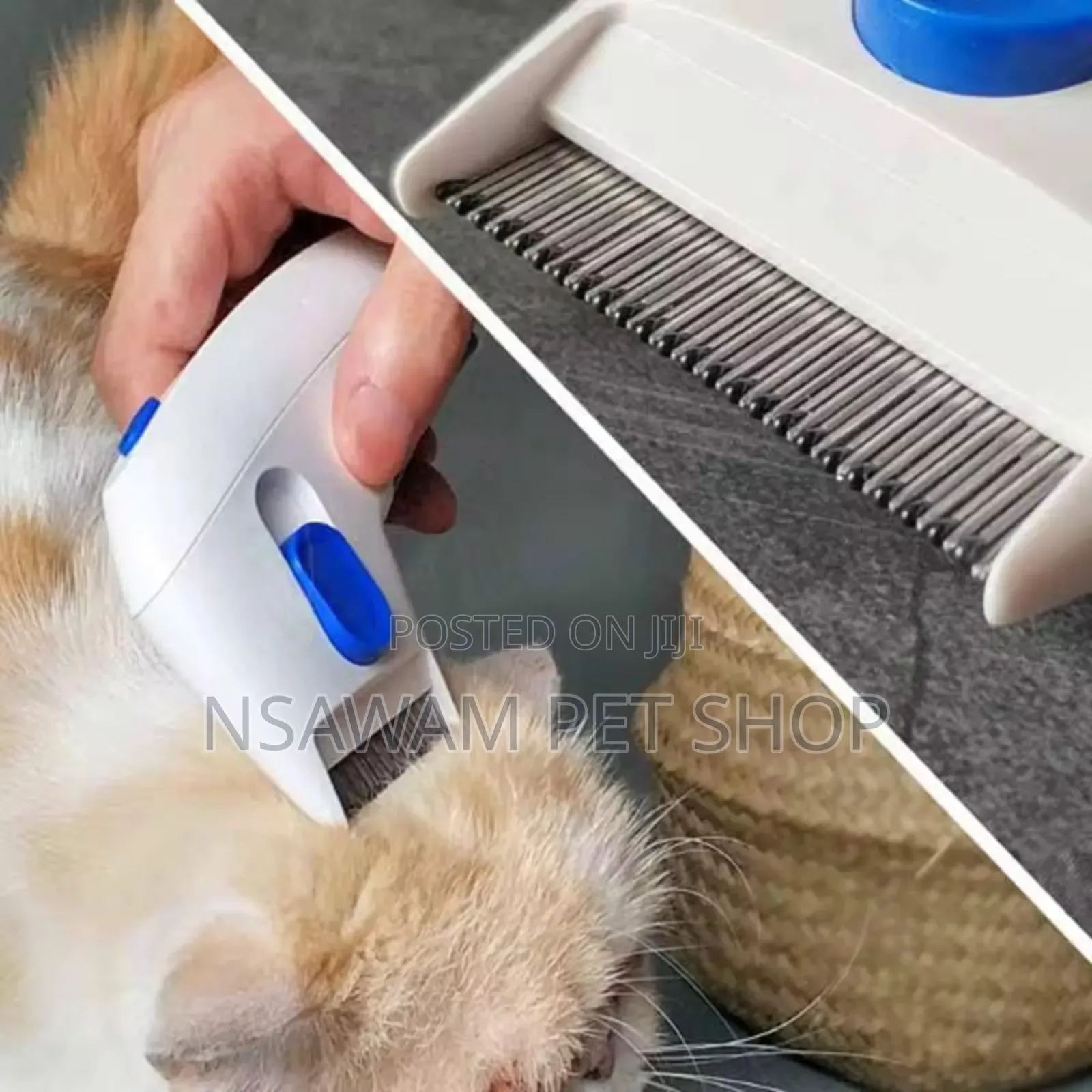 Flea Doctor