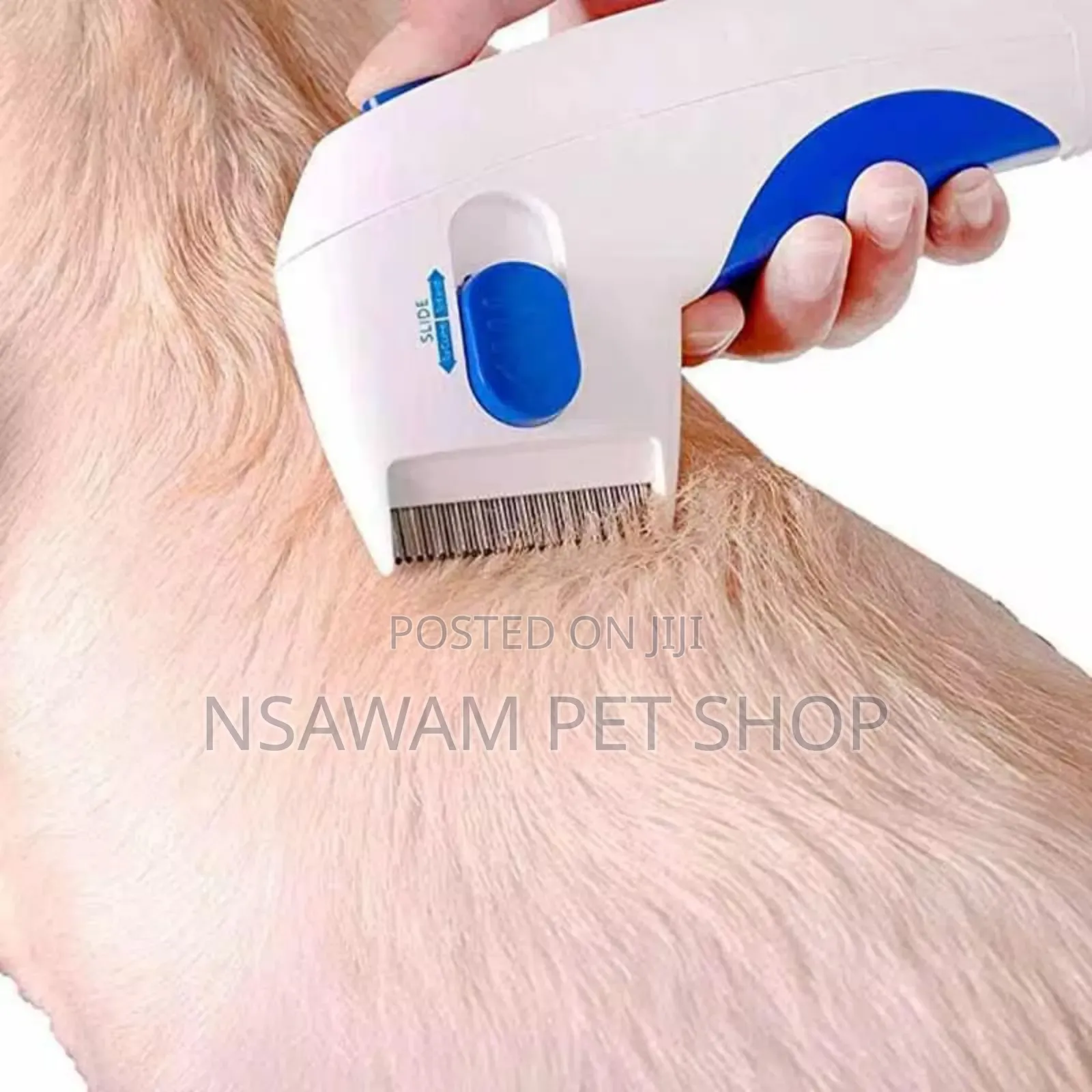 Flea Doctor