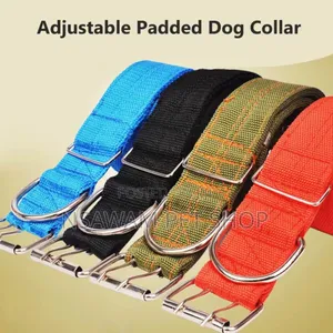 Adjustable Collar