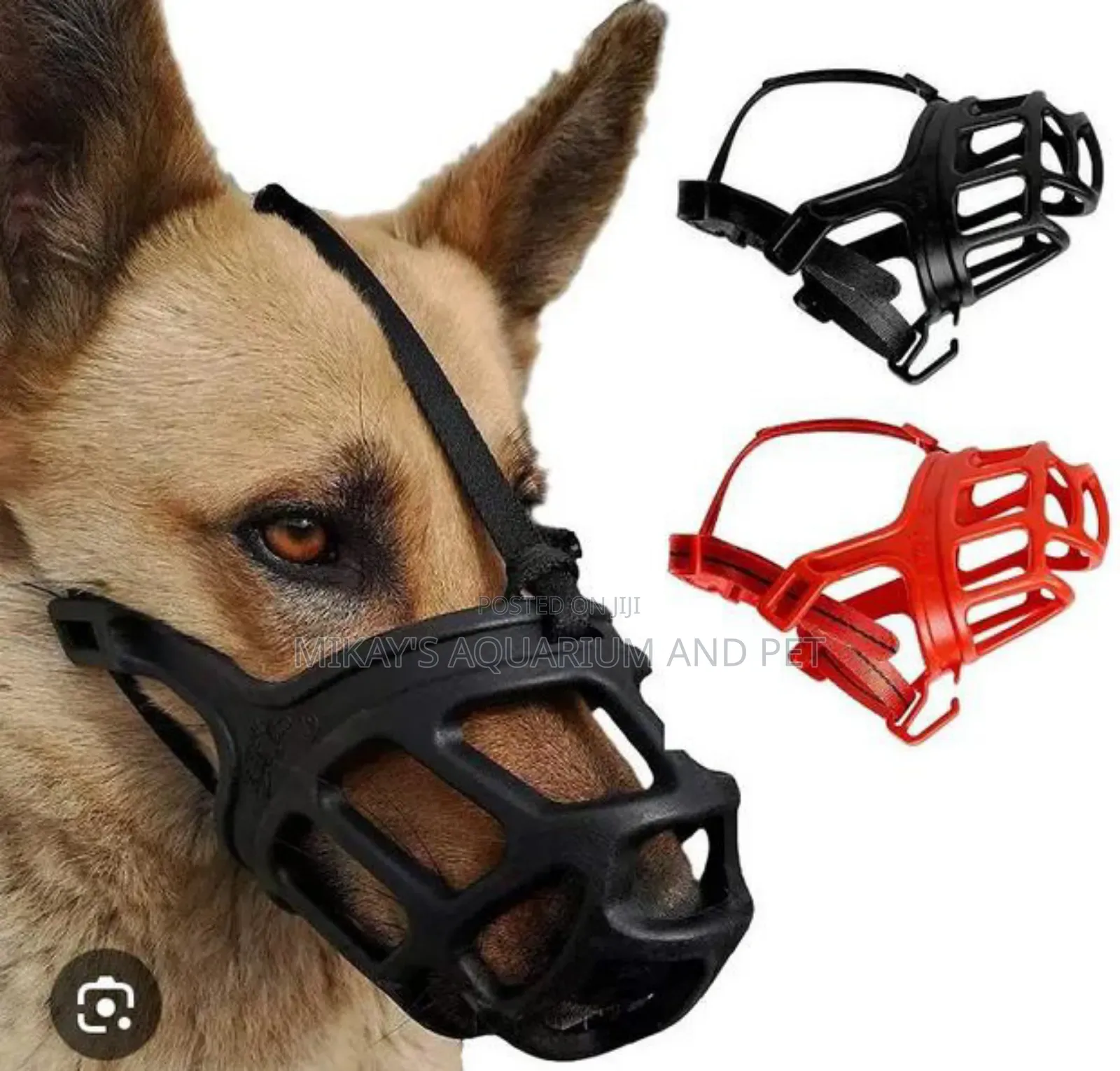 Dog Mouth Guard