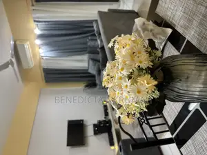 Furnished 2bdrm Apartment in Sethi Nyamedua, Community 25 for rent