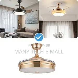 Fan With Light