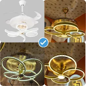 Fan With Light (Spring Design)