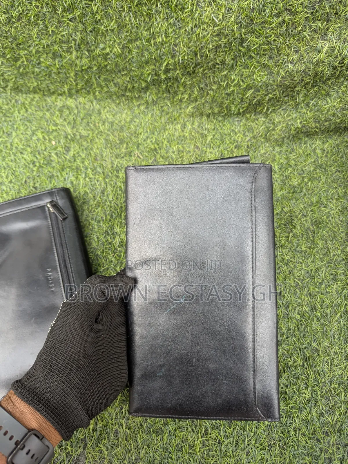 Radley Travel Wallet (Foose)