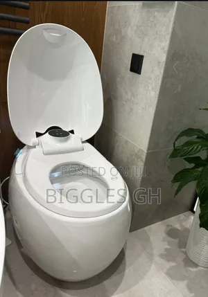 Sensor Wc- Automatic Water Closet With Remote Control