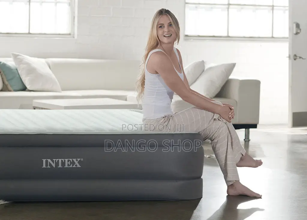 Intex Queen Air Mattress