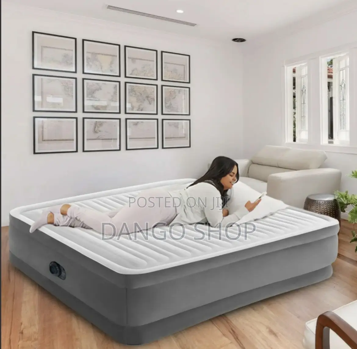 Intex Queen Air Mattress