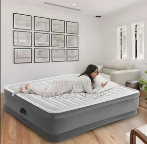Intex Queen Air Mattress