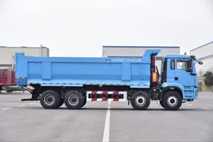X3 Sagmoto Truck, for Cash Sale Only