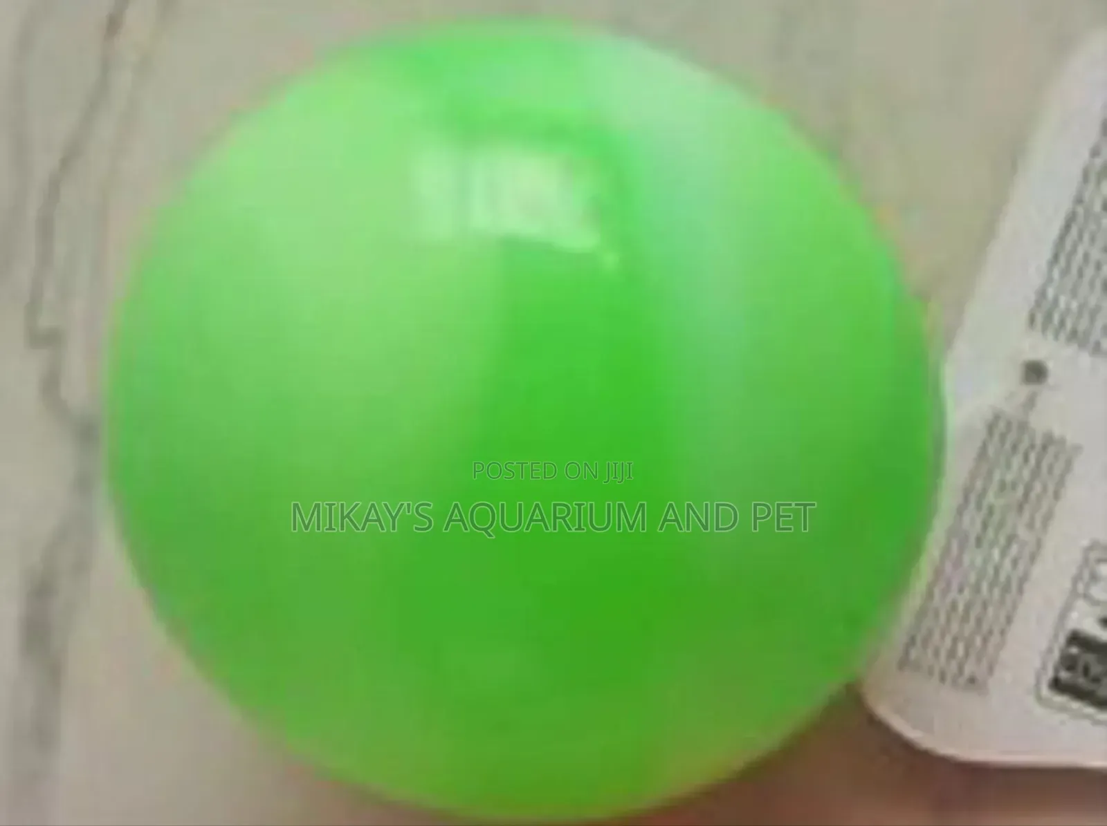 Dog Play Toys With Lights