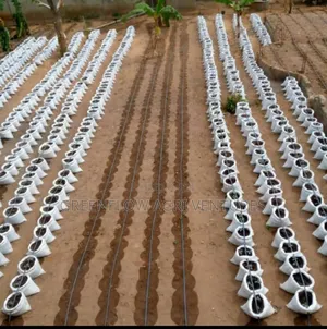 500m2 Drip Irrigation Kits (From Half Plot To Acre Full Set Package)