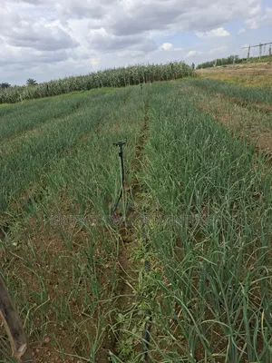 Sprinklers for Farm Irrigation