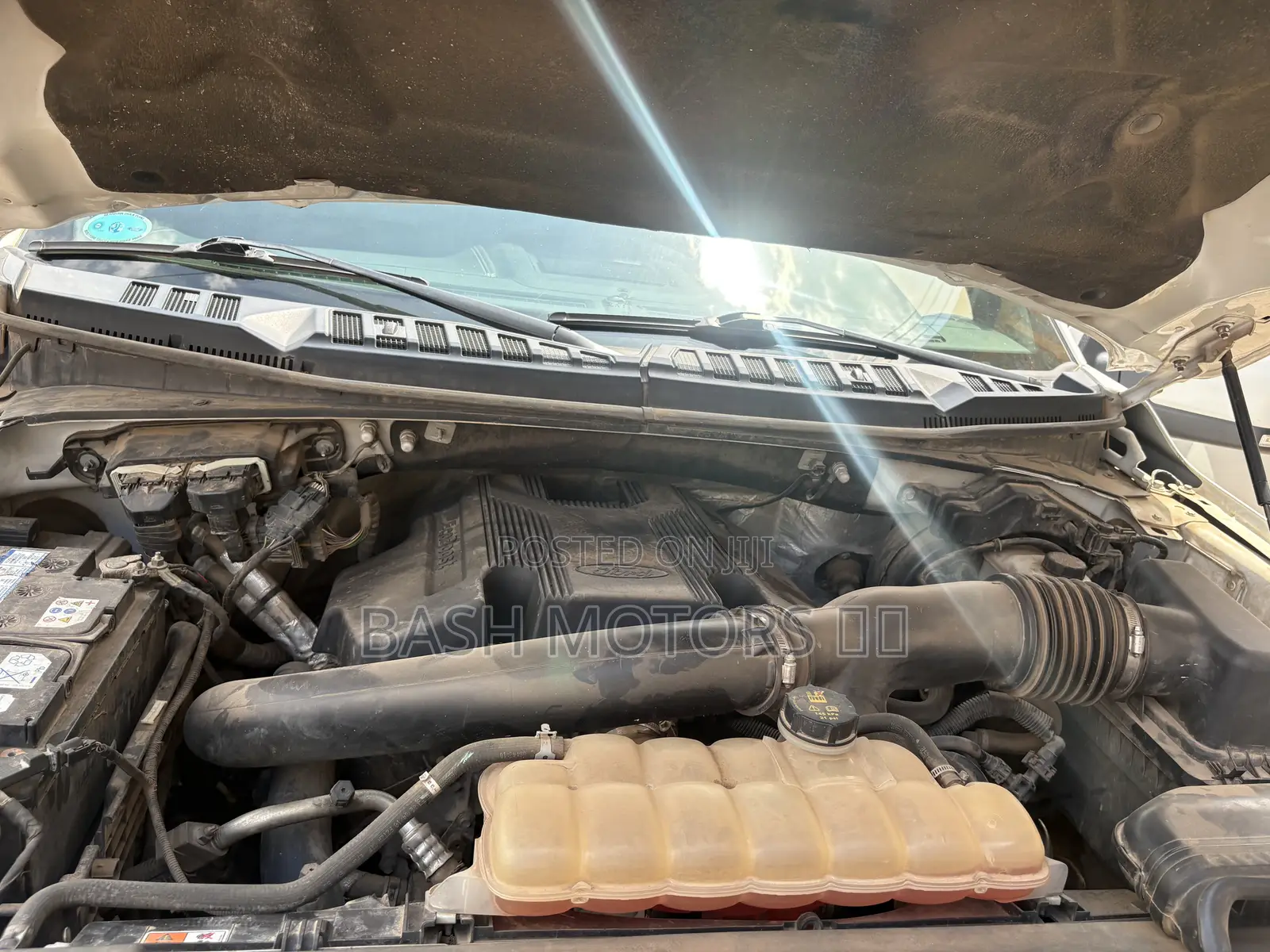Ford F-150 2019 White