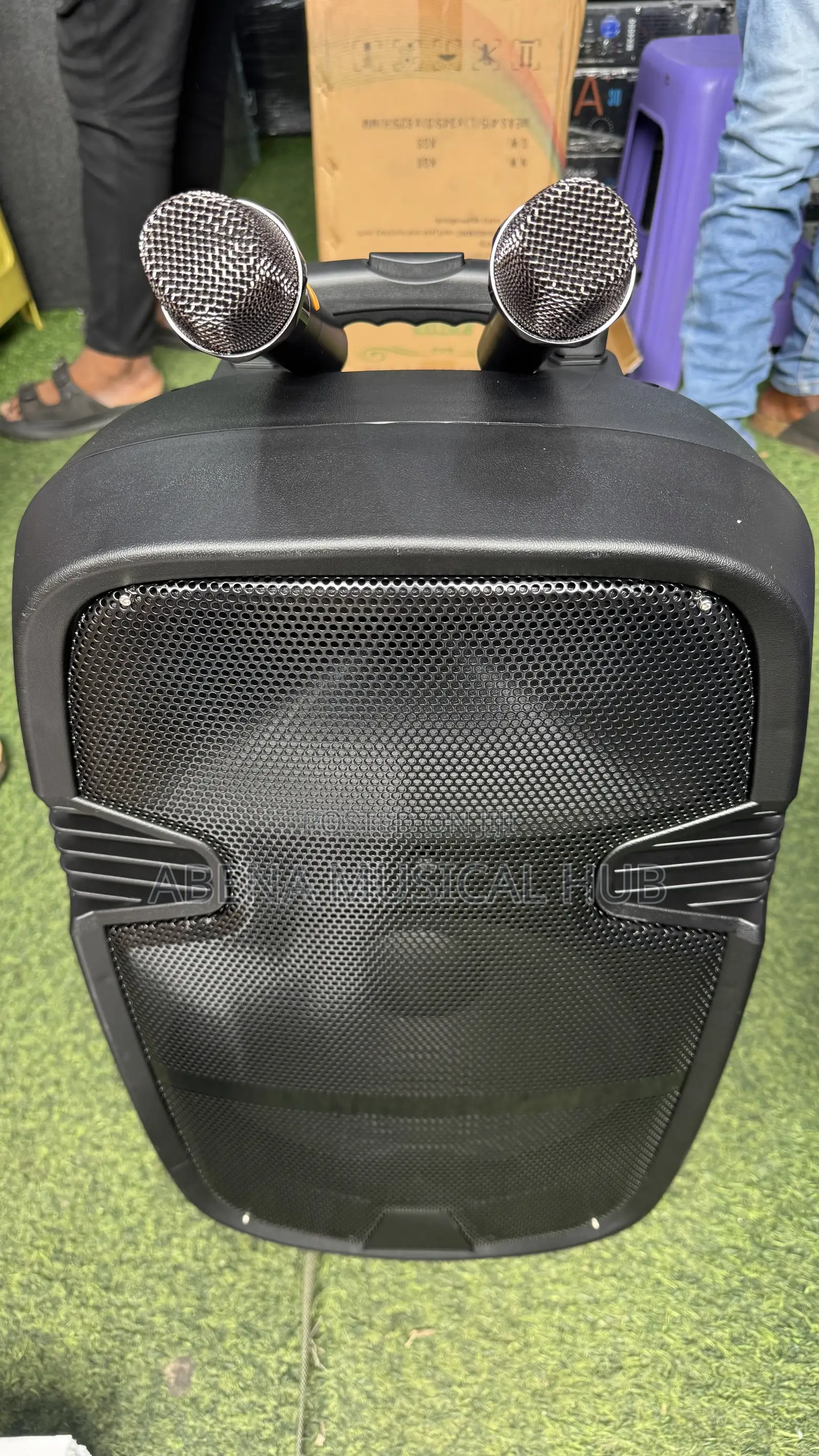 Karake 12 Inches Rechargeable Bluetooth Speaker