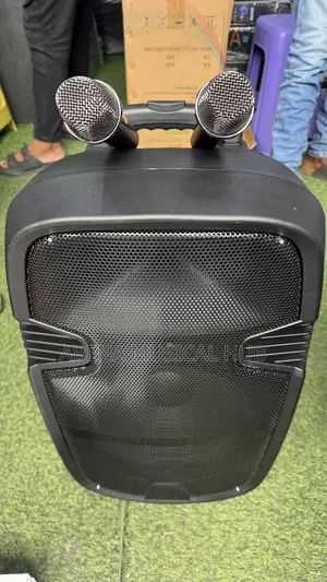 Karake 12 Inches Rechargeable Bluetooth Speaker
