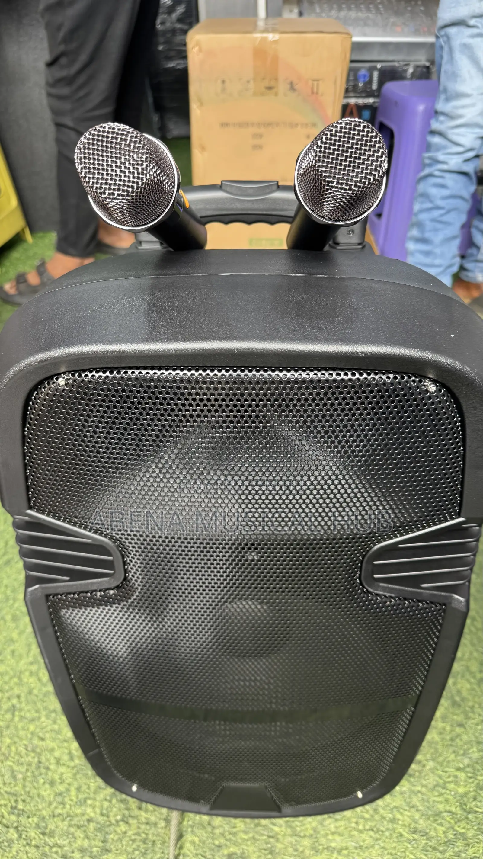 Karake 12 Inches Rechargeable Bluetooth Speaker