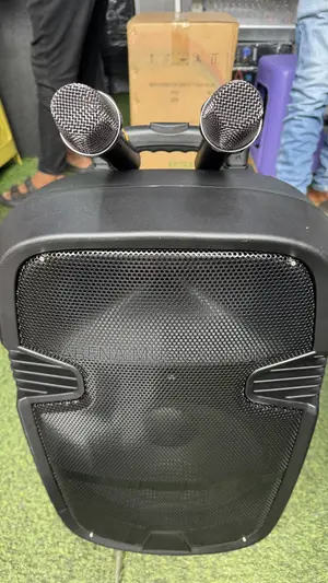 Karake 12 Inches Rechargeable Bluetooth Speaker