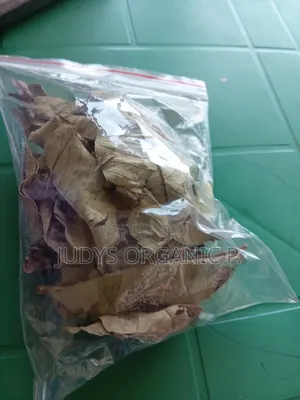 Soursop Leaves