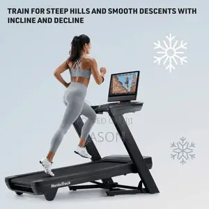 Commercial 2450 Treadmill
