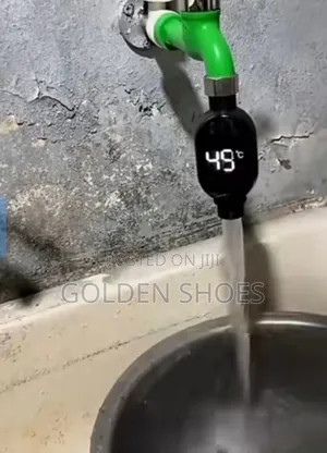 Shower Thermometer