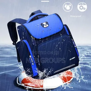 Backpack/ School Bag