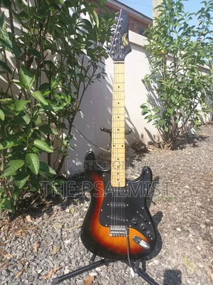 Telecaster Strat the Animal With a Padded Bag