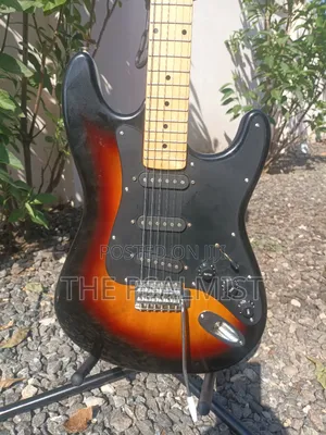 Telecaster Strat the Animal With a Padded Bag