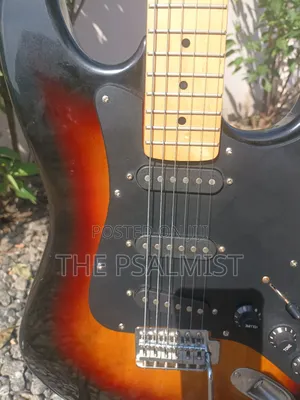 Telecaster Strat the Animal With a Padded Bag