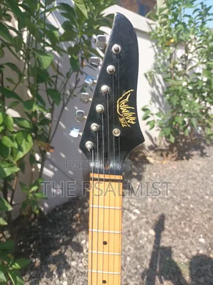 Telecaster Strat the Animal With a Padded Bag