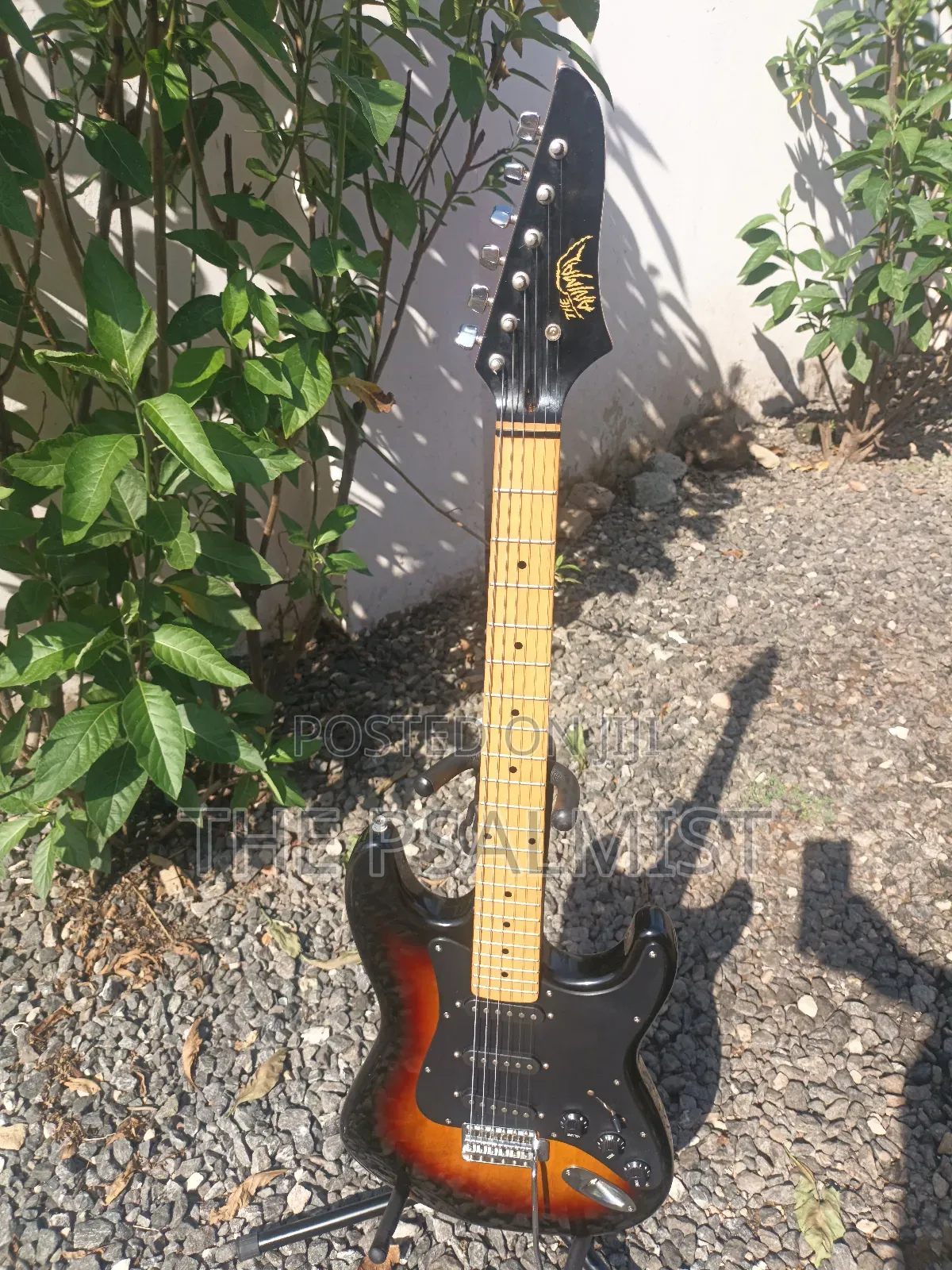 Telecaster Strat the Animal With a Padded Bag